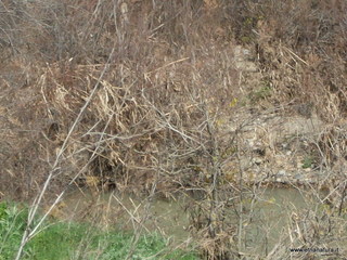 Valle del Simeto